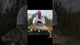 Our Fishing Journey 40lb Catfish from Long Lake Coking Farm Peg 4344 [upl. by Nettie]