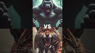 Great Apes vs Big cats Gorilla lion tiger [upl. by Barling]