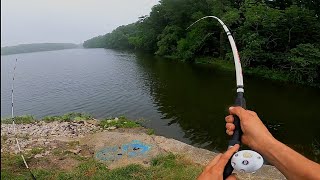 Fishing Spillway For HUGE Catfish BIG REDEAR [upl. by Huxham830]