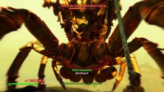 Lets Play Fallout 4 the 27 Legendary and Giant Bosses Target 16  Mirelurk Queen Broodmother [upl. by Trumaine]