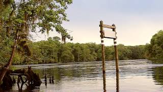 Suwannee River Chiefland Florida [upl. by Koh]