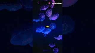 bioluminescence luciferase sea nightsea oceanglow trending trendingshorts [upl. by Annavaj]