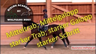 F53 Verstärkungen Reiten Mitteltrab Mittelgalopp starker Trab starker Galopp Schritt Tempis [upl. by Iot255]