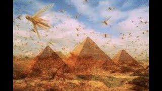 Breaking quotTorah Scholars Prophetic Claimquot Plagues Of Egypt To Return 2019 [upl. by Tletski]