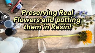 32 How to preserve flowers to put in resin [upl. by Schrick]