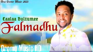 Caalaa Bultumee quotFalmadhuquot New ethiopian oromo music 2024 [upl. by Oibesue404]