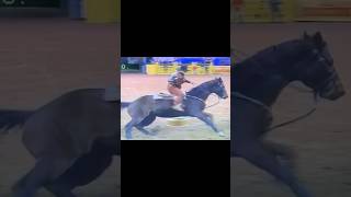 Barrel Racing  shorts cowboy horse barrelracing barrelhorse barrelracer fypviral fyp nfr [upl. by Drannel513]