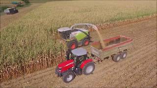 Ensilage 2018 en 12 rangs   ETA Richert  New Claas Jaguar 970 Shredlage  Massey Valtra [upl. by Nedearb]