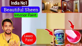 Top Quality Interior High Sheen Luxury Paint  Jk Protomax JUQ Hi SHEEN luxury PAINT [upl. by Anemij154]