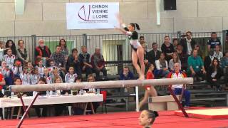 Larisa Iordache BB ROM  Match Avoine 2014 [upl. by Enaoj998]