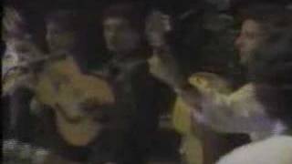 Gipsy Kings  Vamos A Bailar Live at Royal Albert Hall [upl. by Hayyim]