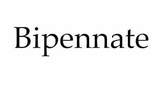 How to Pronounce Bipennate [upl. by Netsuj272]