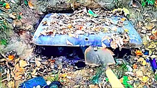 Man Opens Safe Buried In Backyard Then Police Knock On His Door [upl. by Lough]