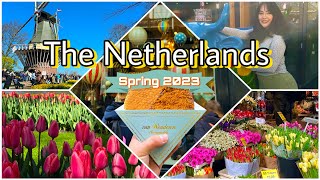 Tulip Season In The Netherlands 2023  Keukenhof  Flower Market Amsterdam Vlog [upl. by Karmen]