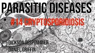 Parasitic Diseases Lectures 14 Cryptosporidiosis [upl. by Narih177]