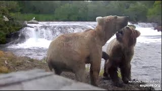 384 and 429 Play in Front of the Falls Low Cam  July 7 2024 exploreorg [upl. by Eulau]