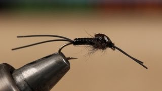 Little Black Stonefly Nymph [upl. by Proulx]