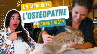 MES LAPINS CHEZ LOSTEO 😱 Je suis choquée   ft Sonia Loupias [upl. by Herm]