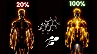 Boost Your Testosterone amp Spem 🔥 Must Watch Video For Every Man 🔥 [upl. by Leind]