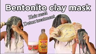 THIS CLAY MASK WILL CHANGE YOUR HAIR  Bentonite clay mask  Apple cider vinegar  Hair detox [upl. by Euhsoj446]