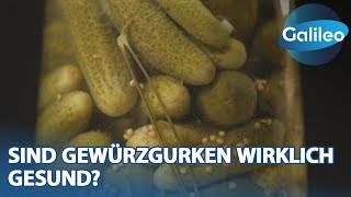 Gewürzgurke amp Gurkenwasser Der unterschätzte ALLESKÖNNER  Galileo [upl. by Zil]