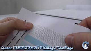 Canon Pixma TS6350TS6351 How to Print a Nozzle Check Test Page [upl. by Inhoj]