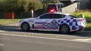 QPS new Kia stinger in action blocking road [upl. by Treb]