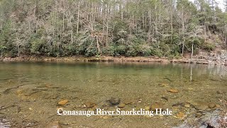 Cohutta Wilderness Video2 Feb 20th 2024 Snorkeling hole Conasauga River traveling camping [upl. by Chelsie]