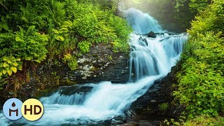 3 HOURS Relaxing Music with Babbling Brook Nature Sounds Meditation ❦806 [upl. by Carlynne]