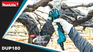 Makita DUP180  AkkuReb und BaumschereSécateur 18V [upl. by Yror]