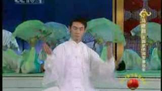 行云流水太极拳表演Chinese KungfuTai Chi [upl. by Vogeley]