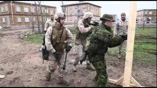 US Marines Canadian forces team up for bilateral training exercise [upl. by Dawson610]