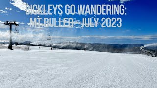 Mt Buller Family Ski Trip  July 2023 [upl. by Euqirne]