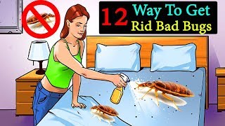 12 Ways To Get Rid Bed Bugs Naturally  How To Get Rid Of Bed Bugs  Life Hacks [upl. by Eatton156]