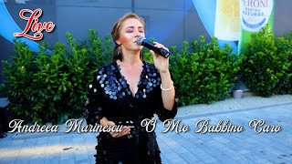 Andreea Marinescu  O Mio Babbino Caro❗️🔴 2024 LIVE [upl. by Nikal]