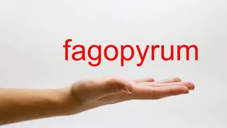 How to Pronounce fagopyrum  American English [upl. by Lindley]