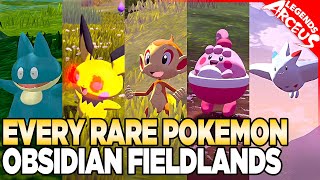 Every Rare Pokemon in Obsidian Fieldlands  Pokemon Legends Arceus [upl. by Hilaire928]