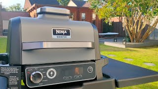 ninja woodfire grill 3 months in review [upl. by Jansson]