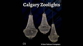 Calgary Zoolights [upl. by Lacim554]