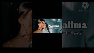 Zaalima Lyrics status Hindi zaalima shortsvideo love viralvideo tranding ytshort [upl. by Idalina]