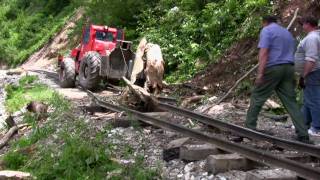 Eine umgestürzte Buche auf der Waldbahn im Wassertal [upl. by Netsirhk517]