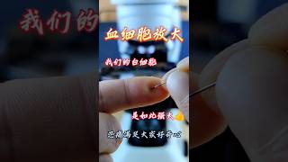 Blud test in microscopefruit microscope shortsfeed shortsvideo short chinesfood123 [upl. by Adnovay]