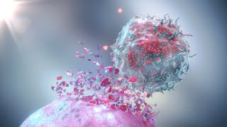 Natural Killer Cells The Tumor Killers [upl. by Sirak]