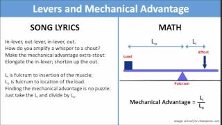 Levers and Mechanical Advantage song [upl. by Ingamar]