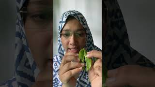 Marginal Placentation বা একপ্রান্তীয় অমরাবিন্যাস viralvideoshortvideo HSC agricultureplacenta [upl. by Zosema]