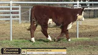 LOT 21 KYLANDEE CORISANDE U061 H [upl. by Vivle]