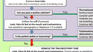 Emergency tracheostomy management [upl. by China]