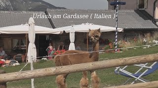 Urlaub am Gardasee  Italien Neufassung von tubehorst1 [upl. by Jecho]