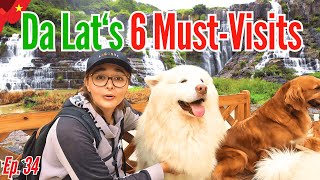 🇻🇳 Da Lat City Our Last 2 Days In This Special Highland City  Vietnam Travel Ep 34 🌄 [upl. by Nevarc]