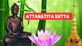 Paritta Chanting  Attanatiya sutta [upl. by Erika]